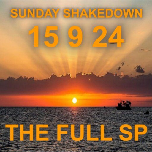 THE SUNDAY SHAKEDOWN