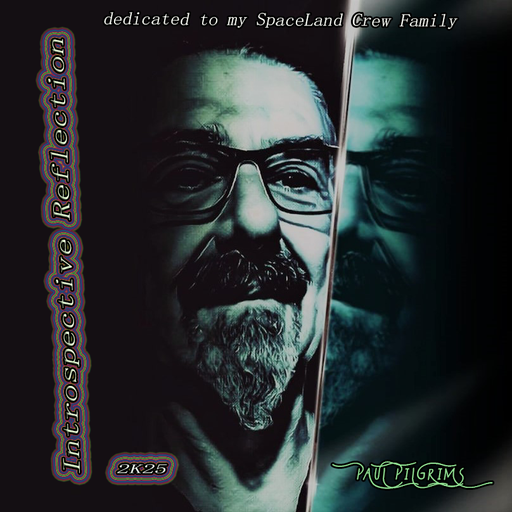 Introspective Reflection ~ dedicated to my SpaceLand Crew family