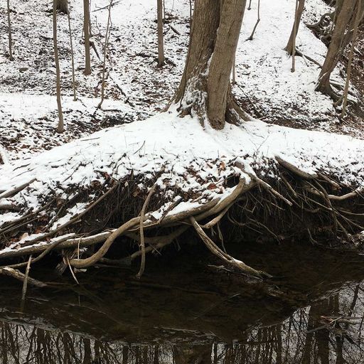 Shells - 27th June 2025