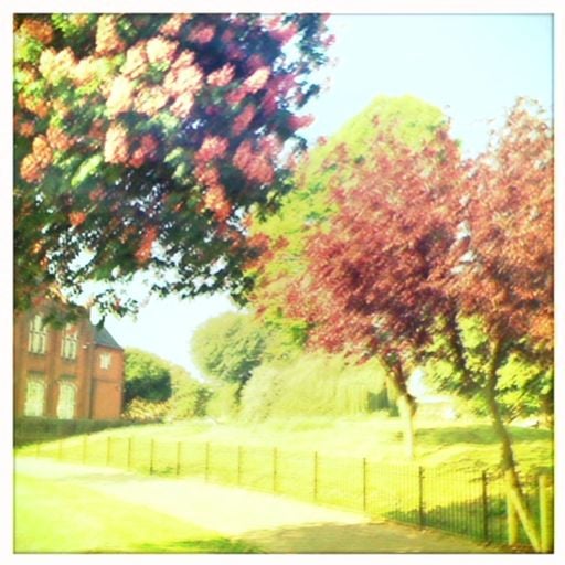 Heatwave