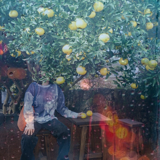 East Never Loses: Sulky Spring w/ Angie QQ - 20th March 2026