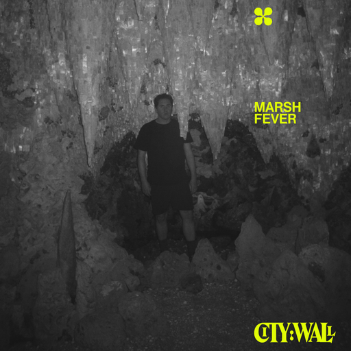 Marsh Fever w/ Luke Overin - November 2023
