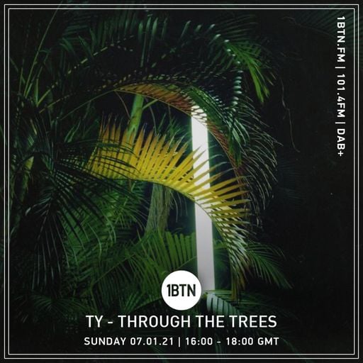 Through The Tree's with Ty - 07.02.2021