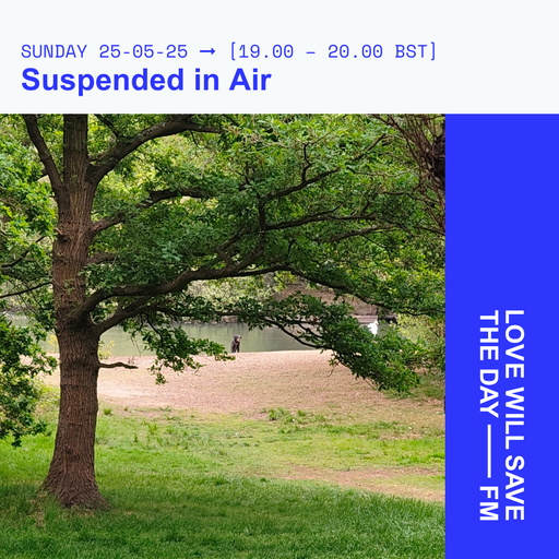 2025-05-25-Suspended in Air-Sean Carroll