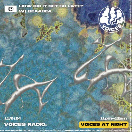 How Did It Get So Late? w/ Beaabea - 11/08/24 - [Voices Radio]