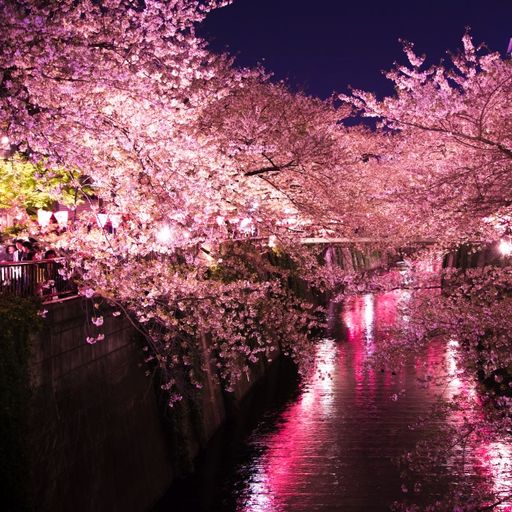 2024 APRIL SPRING BLOSSOM NIGHT - R&B CHILLOUT & MELLOW MIX 『Midnight Till Dawn』