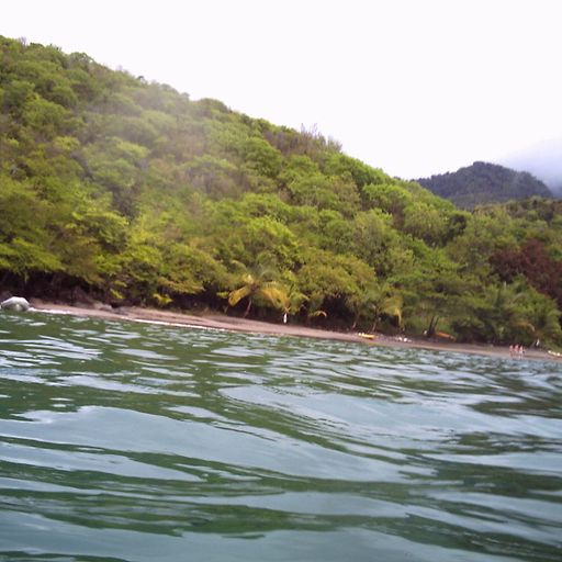 Deep Progressive House