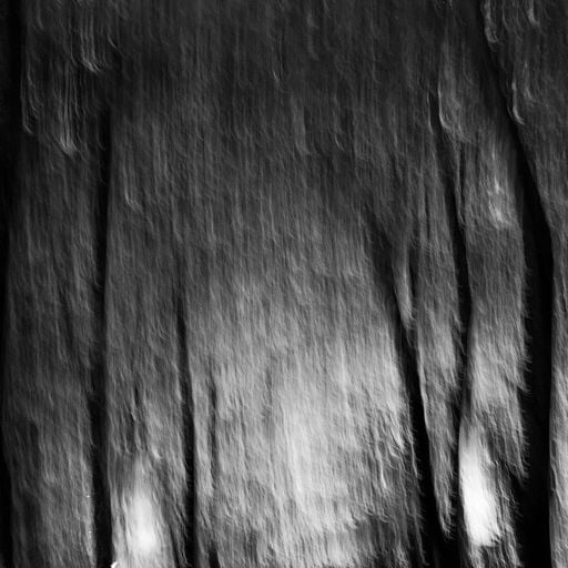 joy in the deep woods w/ biolzz - 23rd April 2025