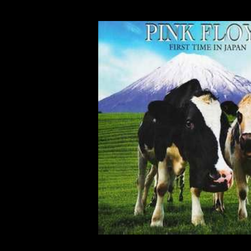 Pink Floyd In Japan  1971.
