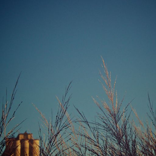 February Mixtape