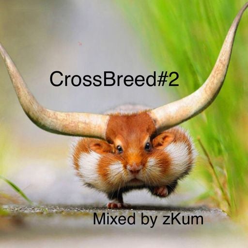 CrossBreed#2