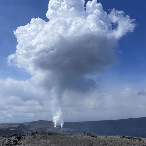 The Head Zone w/ Ripley Johnson - 5th February 2026