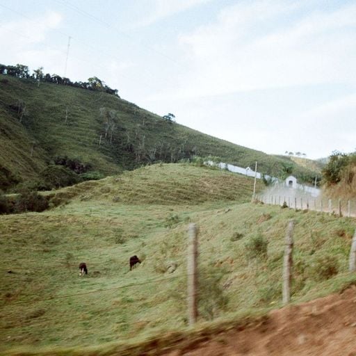 Rio Doce - 22nd April 2026