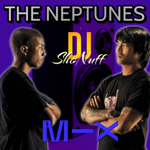 THE NEPTUNES VIBE 4SHO
