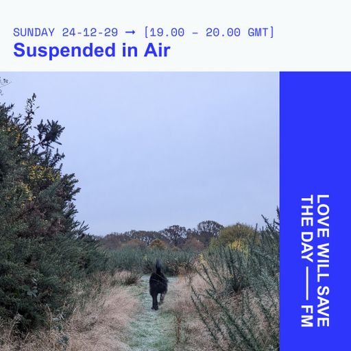 2024-12-29-Suspended in Air-Sean Carroll