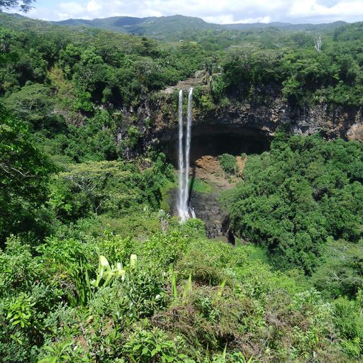 DREADheadz DUB & Reggae & Roots & Electronic DUB 16 TRY vom 16.7.2024