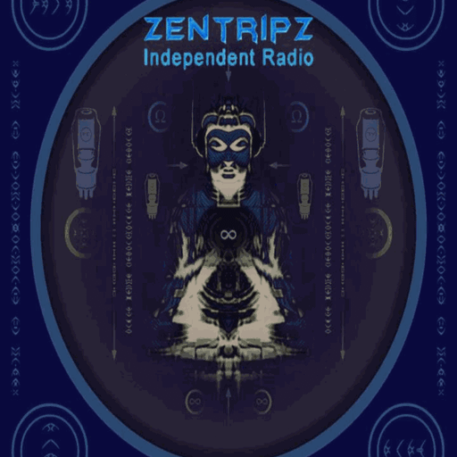 Pirate House on ZentripZ | Idol Time