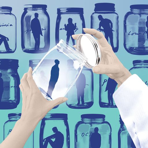 ‘What I see in clinic is never a set of labels’: are we in danger of overdiagnosing mental illness? 