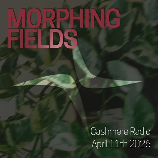 Cashmere Guest Mixes Morphing Fields April 2026 11.04.2026