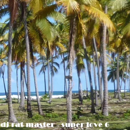 dj rat master - super love vol.06