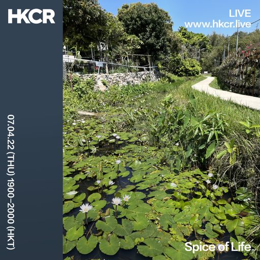Spice Of Life - 07/04/2022