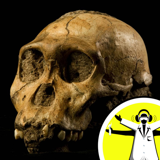 Meet the ancestors