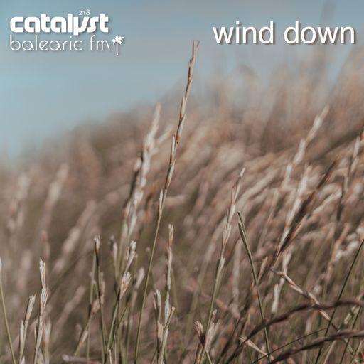 wind down (catalyst, 218)