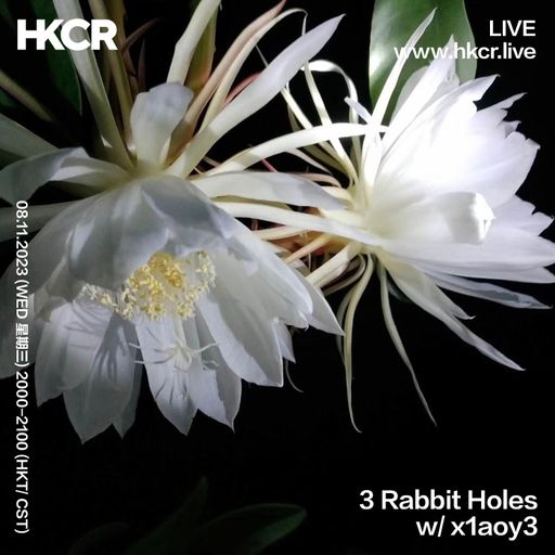 3 Rabbit Holes with x1aoy3 - 08/11/2023
