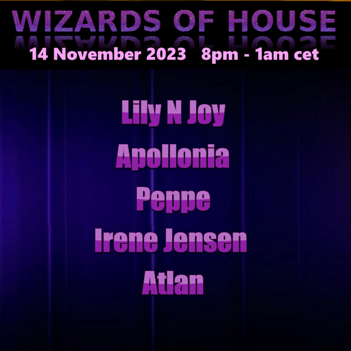 Wizards of House 14-11-2023