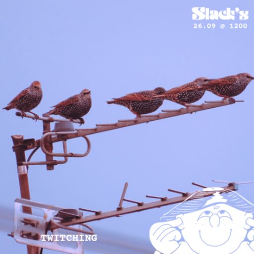 TWITCHING - September 2025