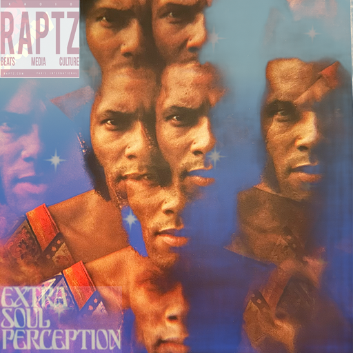 EXTRA SOUL PERCEPTION #13