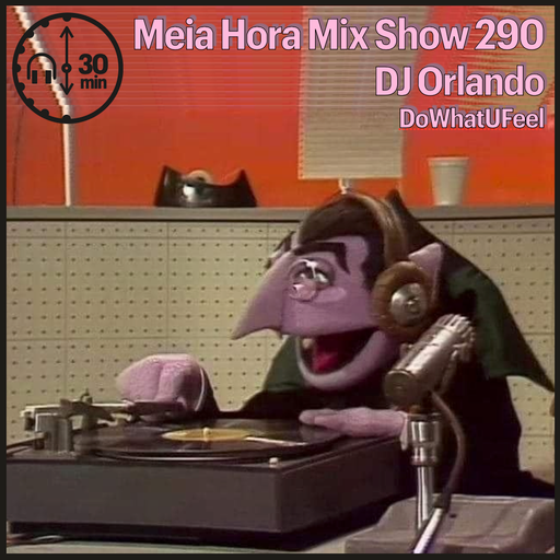 MHMS290 DJ Orlando-DoWhatUFeel