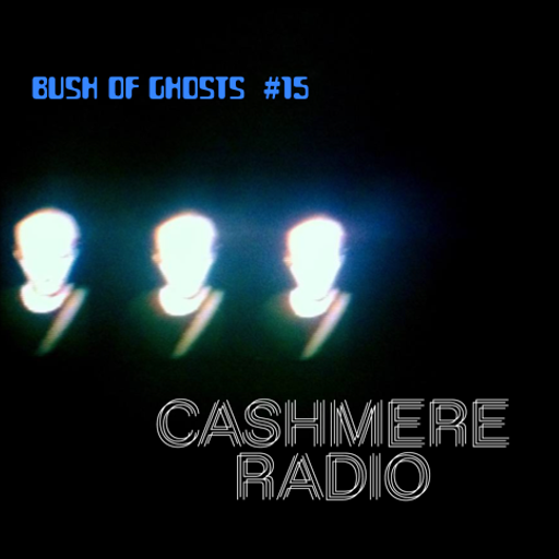 Bush of Ghosts #15 with David Tinning