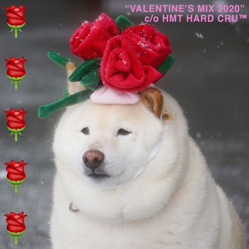 Cashmere Guest Mixes w/ HMT Hard Cru: Valentine's Mix 2020 14.02.2020