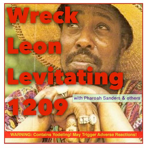 Wreck Leon Levitating 1209