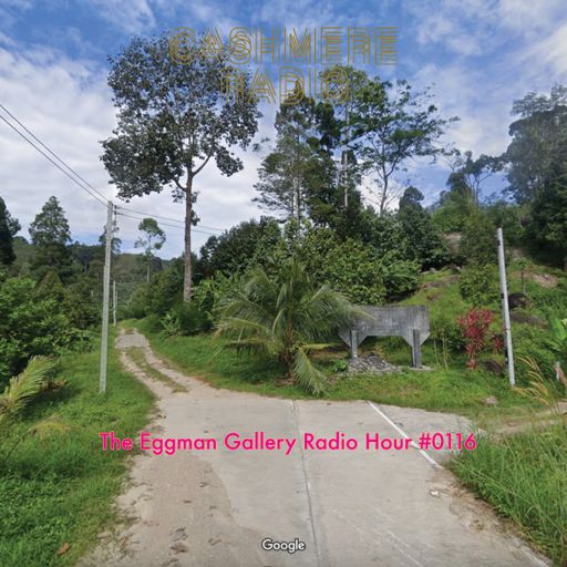 The Eggman Gallery Radio Hour #0116 16.03.2024