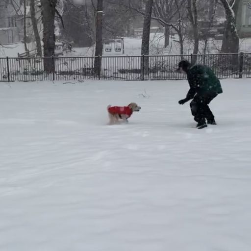 Blizzard of 2026 SNOWSET