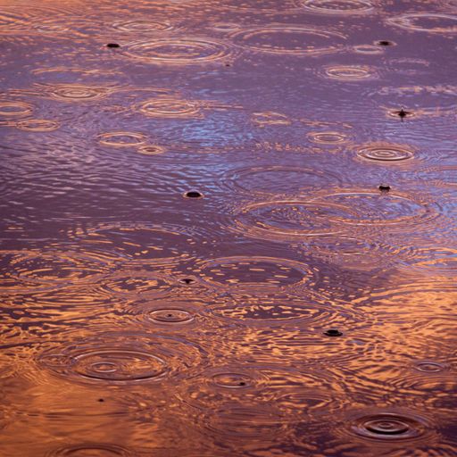 still falls the rain