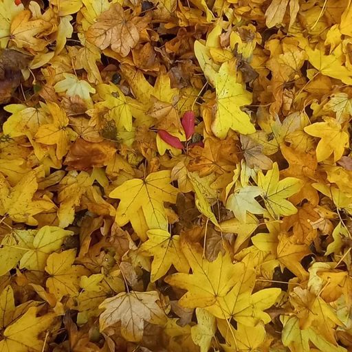 If Music Presents You Need This w/ Jean-Claude - 23rd November 2025