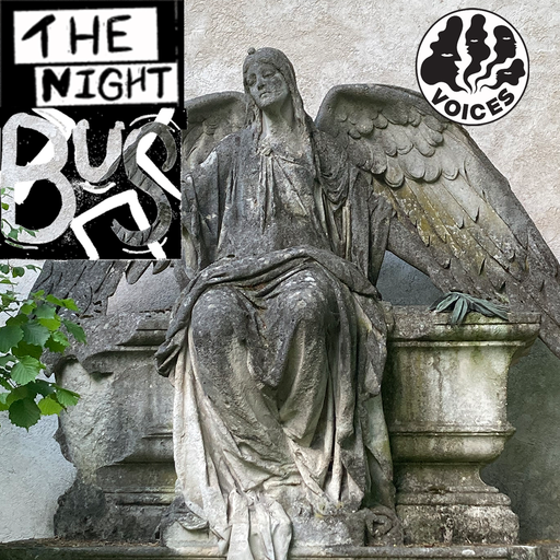 The Night Bus ep,9 - 20/07/24 [Voices Radio]