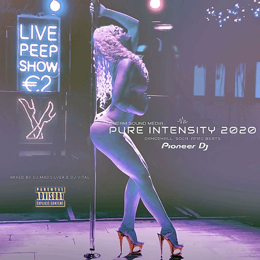 Dancehall, Soca Mix, Pure Intensity Ft Shal Marshall, QQ, Stefflon Don, Problem Child, Konshens