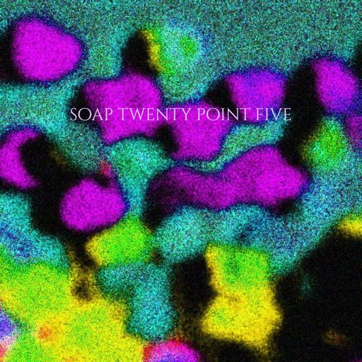 Soap Twenty Point Five