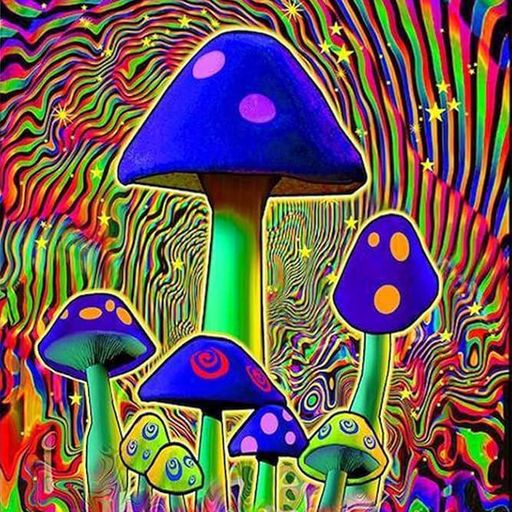 Hunter. S Presents Muziko - 15.08.25