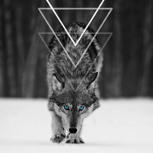 Trap'd Vol. 6
