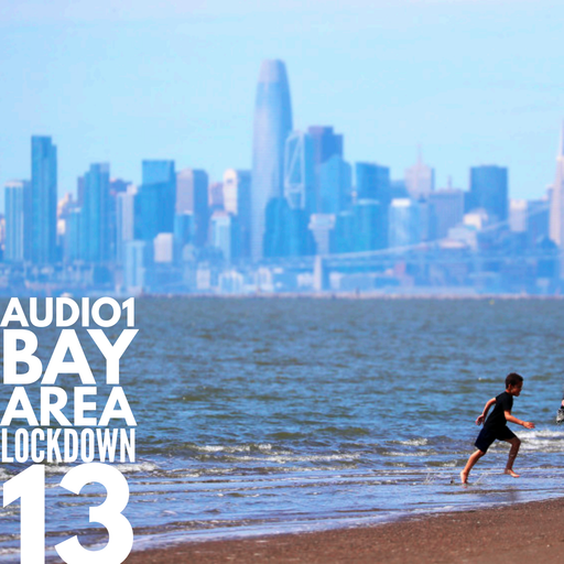 BAY AREA LOCKDOWN 13