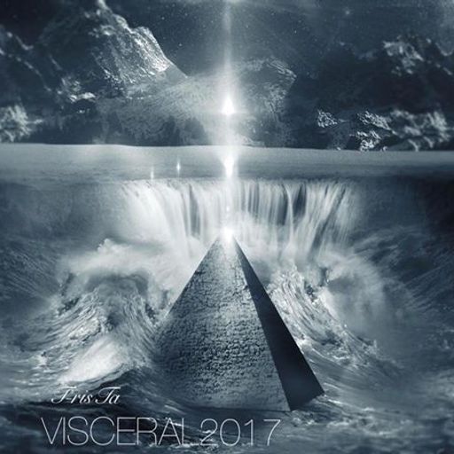 T-risTa Visceral 2017