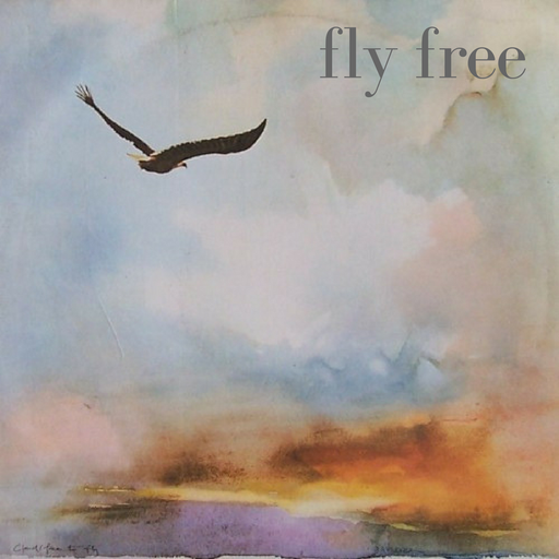Mo'Jazz 226: Fly Free