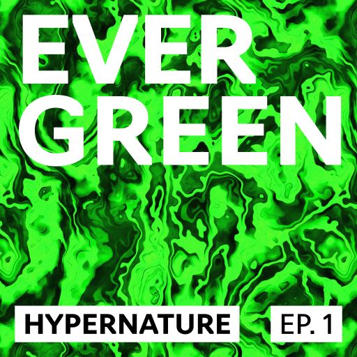 Evergreen #1: HYPERNATURE 07.06.2023