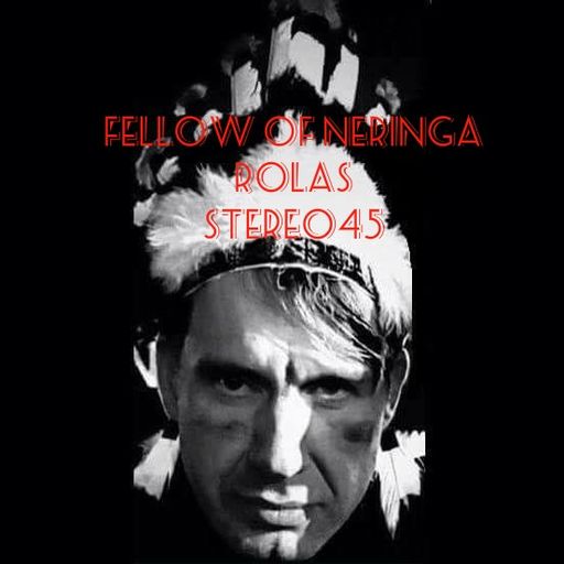 Neringos bičiulis: Rolas Stereo45