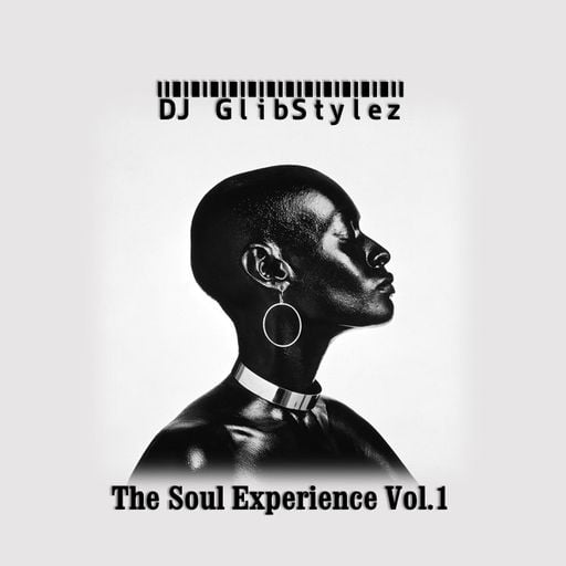 DJ GlibStylez - The Soul Experience Vol.1 (RapTz Radio Mixshow)